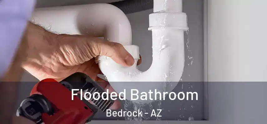  Flooded Bathroom Bedrock - AZ
