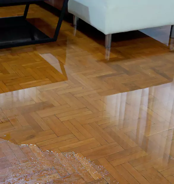 Trusted Emergency Water Restoration Company in Bedrock, AZ