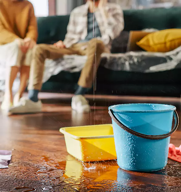 Trusted Water Restoration Company in Bedrock, AZ